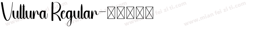 Vultura Regular字体转换